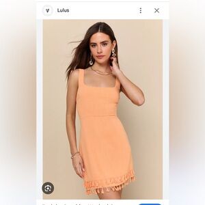 Lulus Tassel Mini Dress